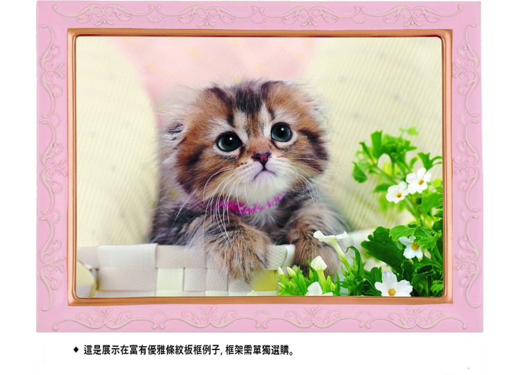 貓咪 - 108塊(標準)