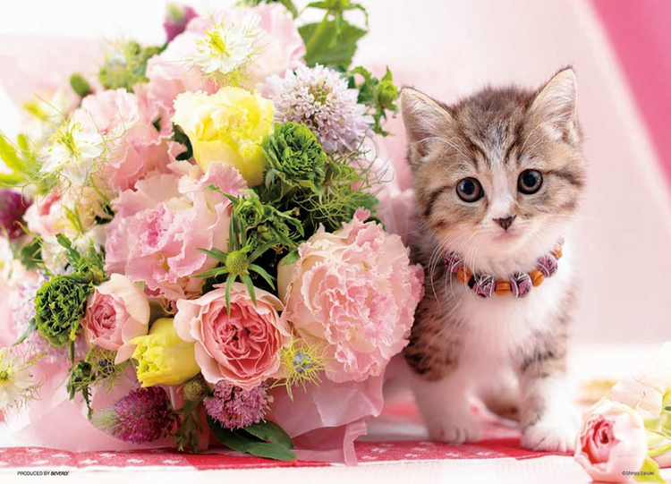 甜花貓 - 500塊(小)