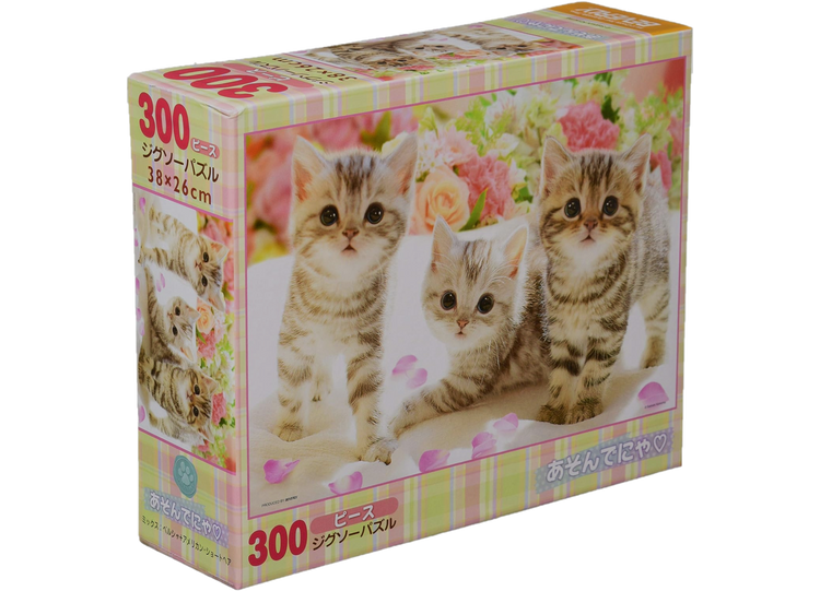 3只小貓♡ - 300塊(標準)