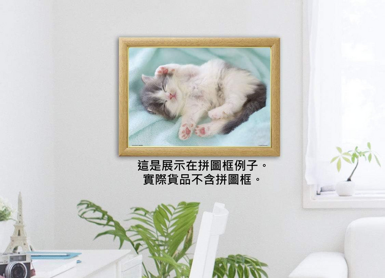 輕鬆小睡 - 300塊(標準)