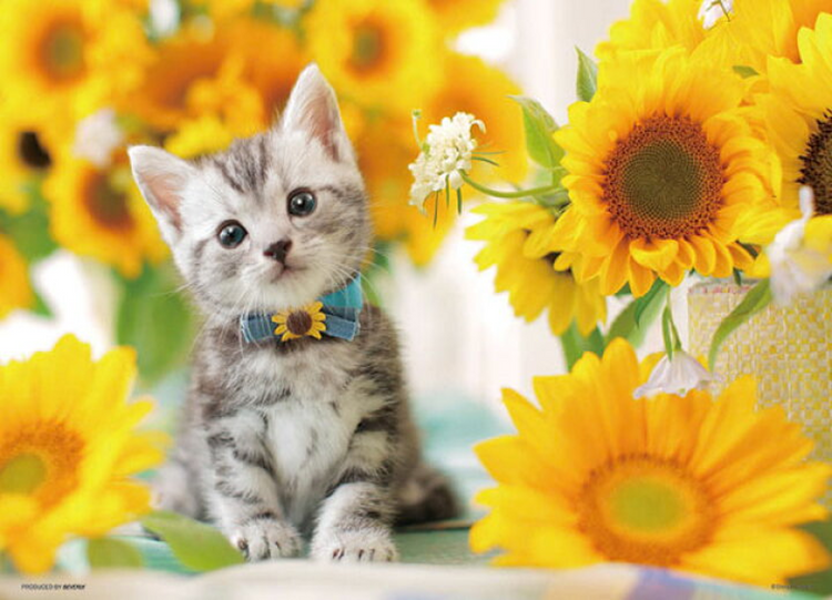 滿滿向日葵 - 300塊(標準)