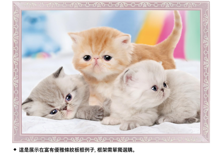 吸引眼球! - 500塊(標準)