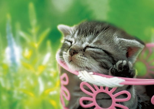 拼圖 - 動物砌圖/飛馬/108塊