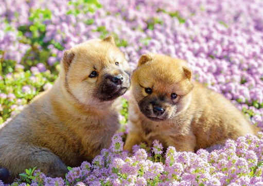 拼圖 - 動物砌圖/雛犬/108塊