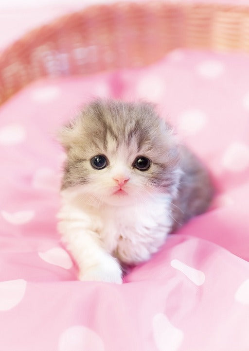 拼圖 - 動物砌圖/圓瞳/108塊