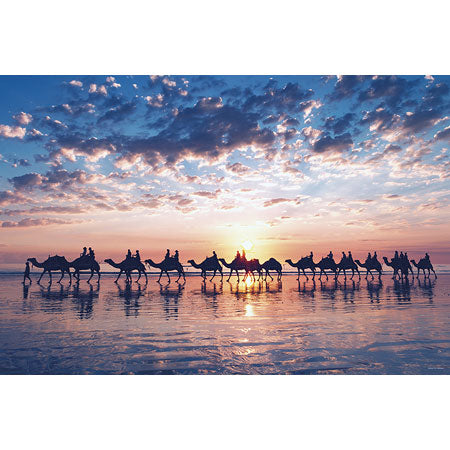 布魯姆的暮光之城(
澳洲)- 1000(標準)塊