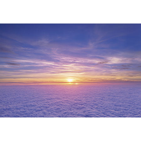 雲海 - 1000(標準)塊