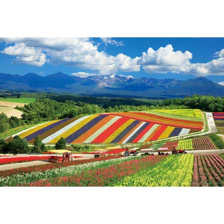 彩之丘和十勝嶽山脈(北海道) - 1000(標準)塊