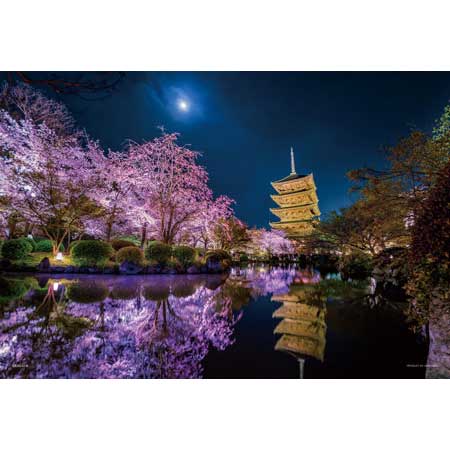 在月夜中綻放(京都) - 1000(極小)塊