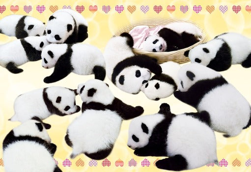 拼圖 - 動物砌圖/我愛熊貓!/300塊