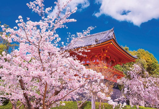 拼圖 - 風景砌圖/櫻花仁和寺/300塊