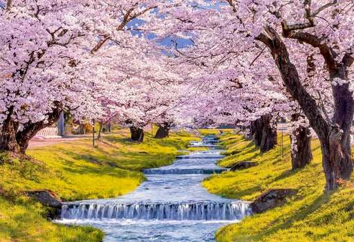 拼圖 - 風景砌圖/櫻花觀音寺川-福島/300塊