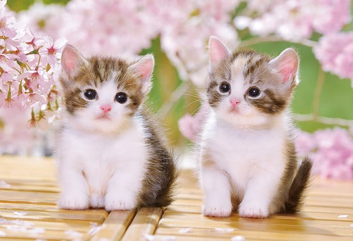 拼圖 - 動物砌圖/坐在 Koneko Nyan/300塊