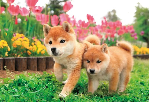 拼圖 - 動物砌圖/我要和你一起跑!/300塊