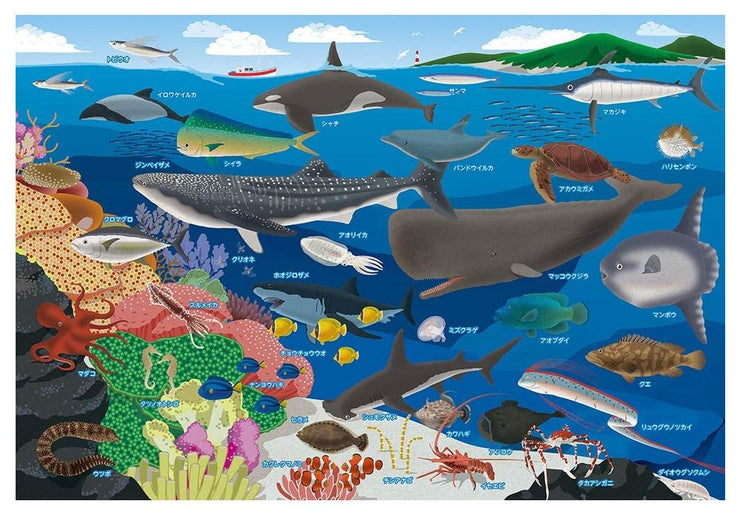 【經典收藏】學習海洋生物吧!- 80塊(大)
