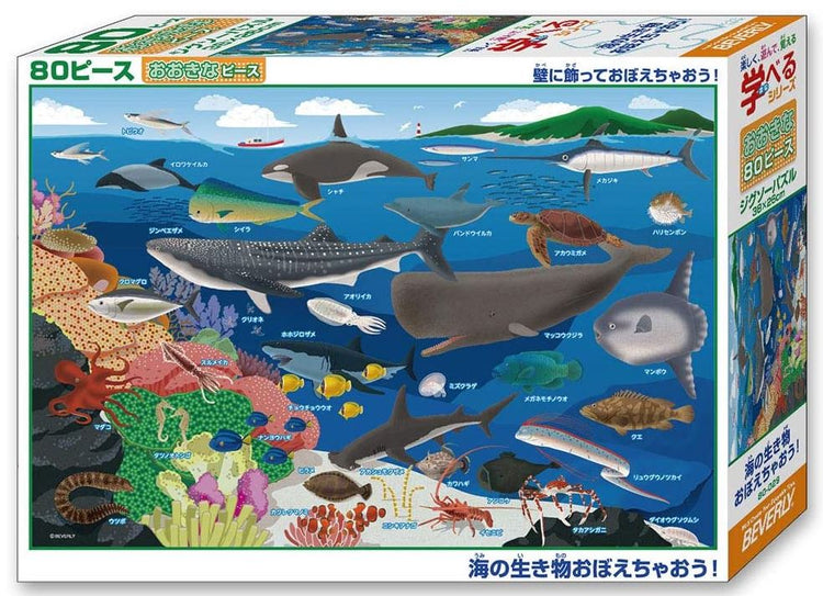 【經典收藏】學習海洋生物吧!- 80塊(大)