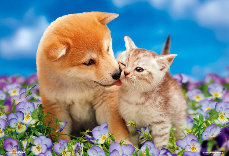 拼圖 - 動物砌圖/花田日期/300塊