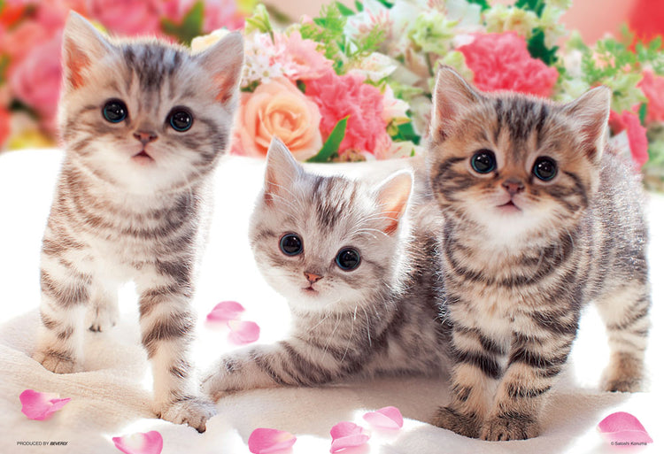 拼圖 - 動物砌圖/跟我玩♡/300塊