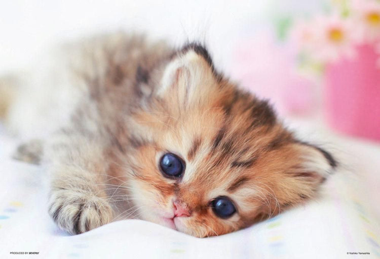 拼圖 - 動物砌圖/你醒了嗎?/300塊