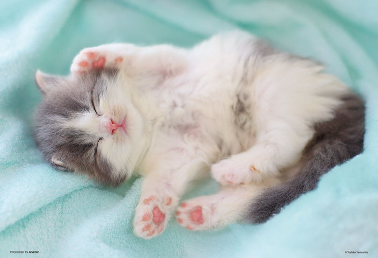 拼圖 - 動物砌圖/輕鬆小睡/300塊