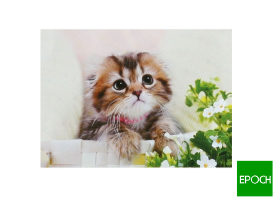 貓咪 - 108塊(標準)