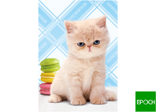 異國情人 - 108塊(標準)