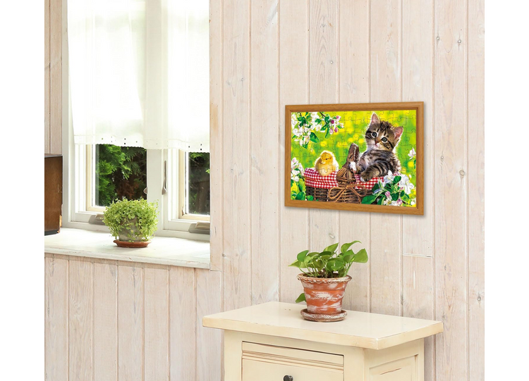 野餐 - 88塊(極大)