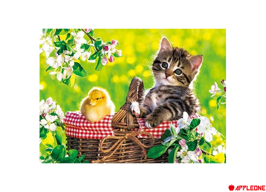 野餐 - 88塊(極大)