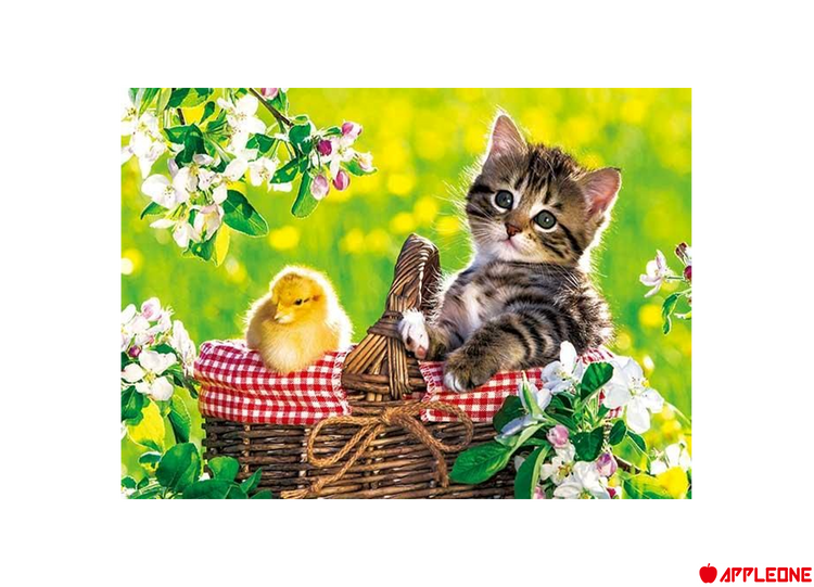 野餐 - 88塊(極大)