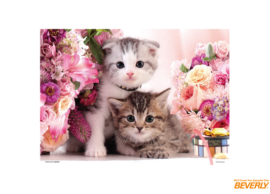 PRETTY PET - 1000塊(極小)