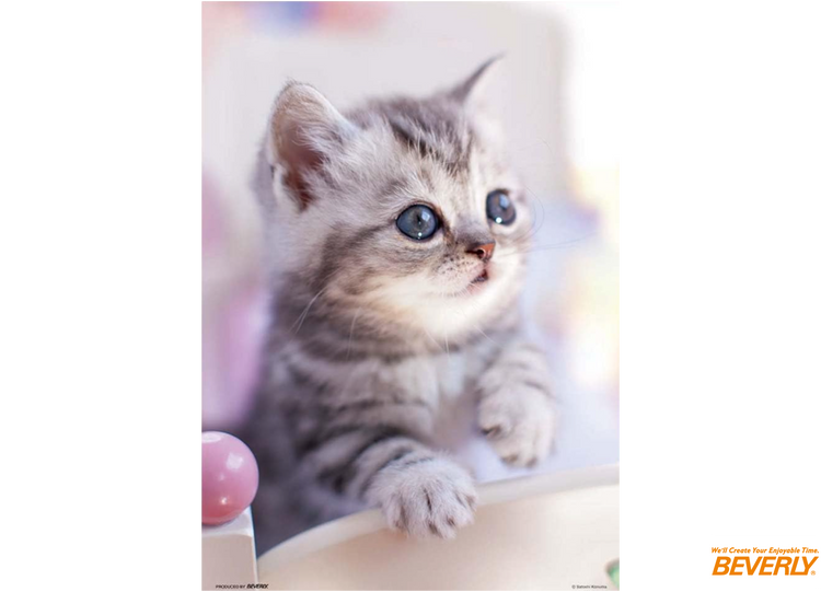 好啦♪ - 300塊(標準)