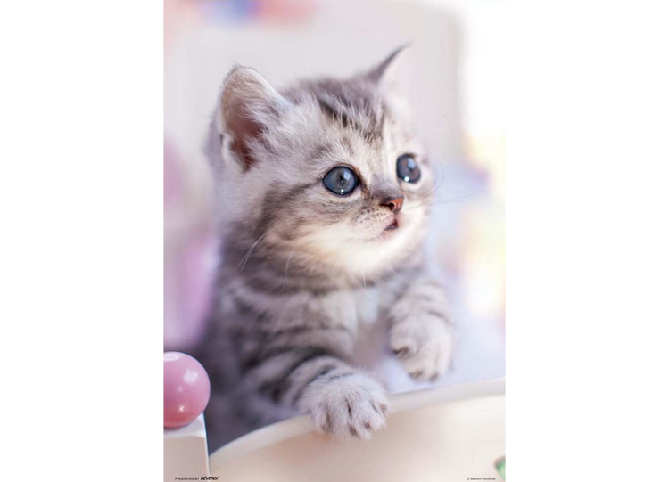 好啦♪ - 300塊(標準)