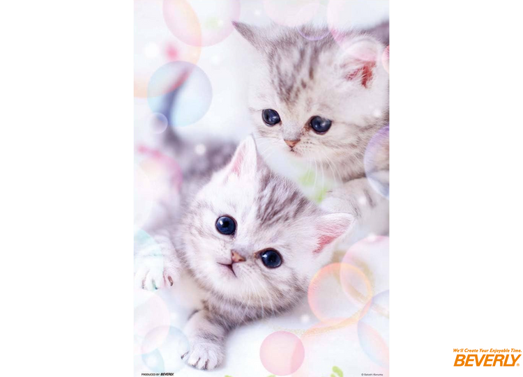 蓬松貓咪 - 300塊(標準)