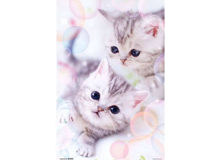 蓬松貓咪 - 300塊(標準)