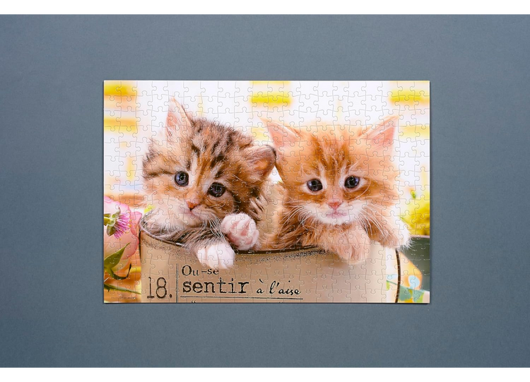 幸福貓咪 - 300塊(標準)