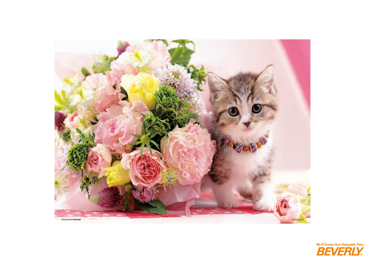 甜花貓 - 500塊(小)