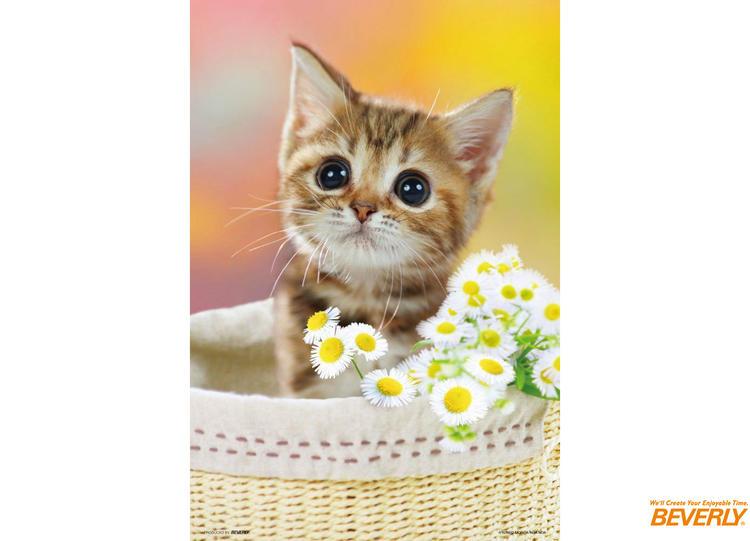 噹噹 - 150塊(大)