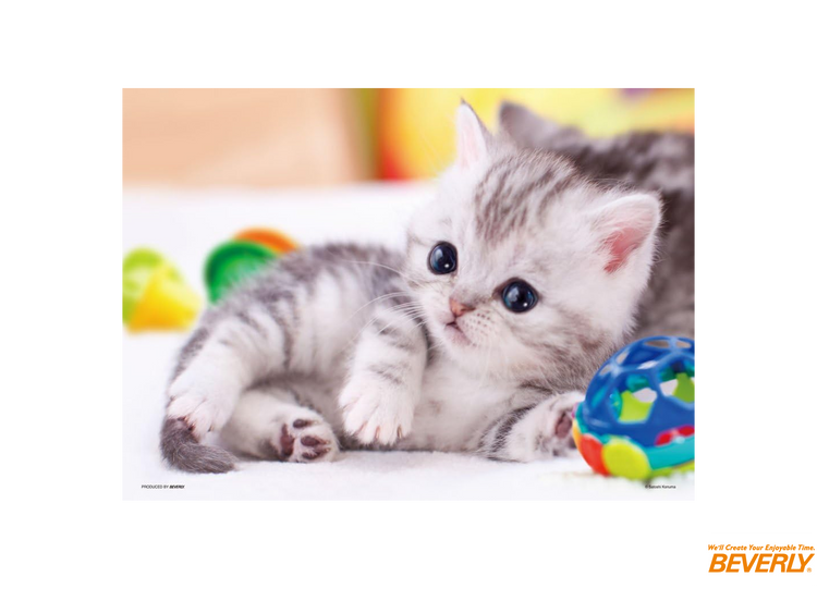 玩耍？ - 150塊(大)