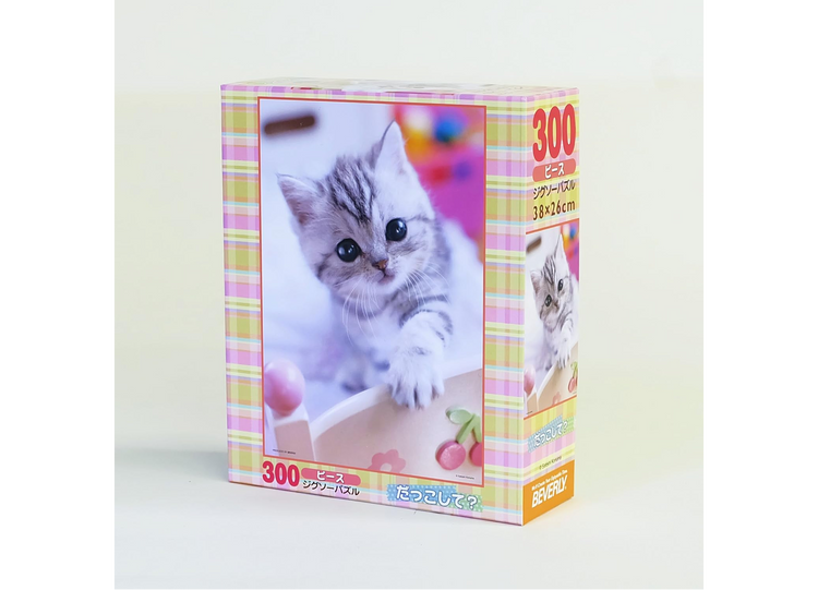 抱抱嗎? - 300塊(標準)