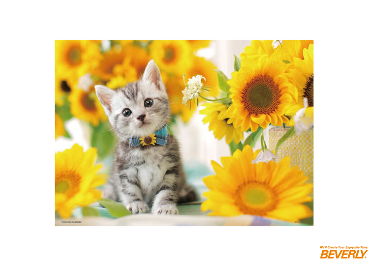 滿滿向日葵 - 300塊(標準)