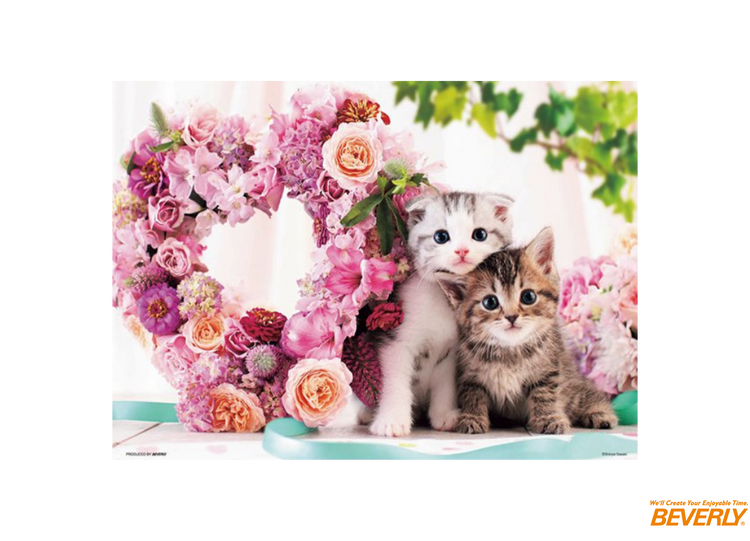 浪漫小貓 - 300塊(標準)