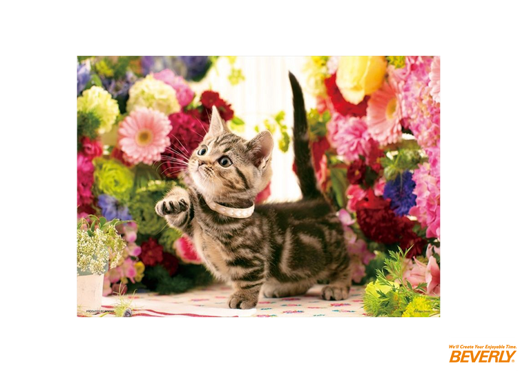 花之漫步 - 300塊(標準)