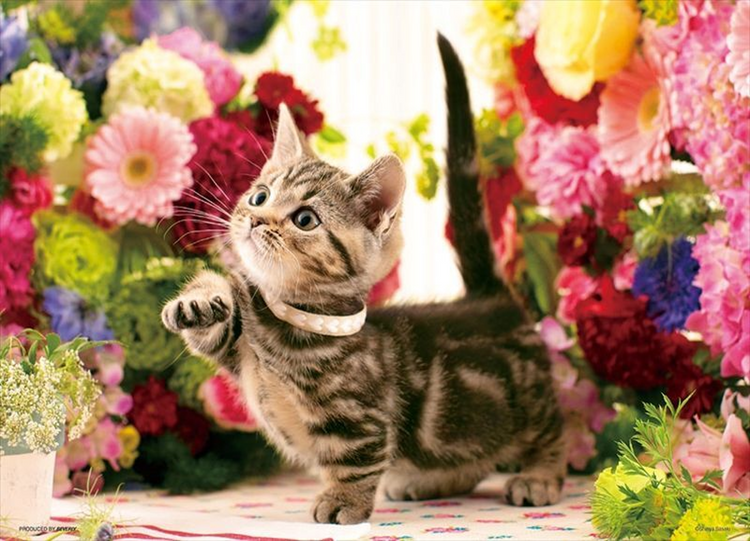 花之漫步 - 300塊(標準)