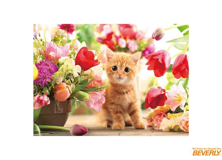 鬱金香與小貓 - 300塊(標準)