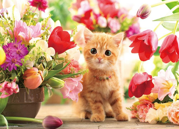 鬱金香與小貓 - 300塊(標準)