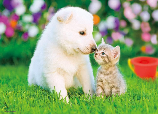 可愛表情 - 300塊(標準)