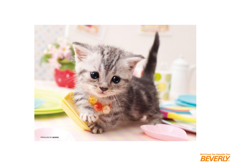 你好嗎? - 88塊(大)