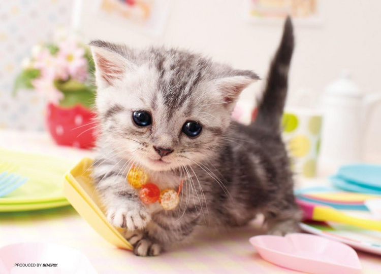 你好嗎? - 88塊(大)