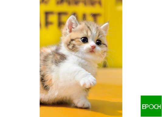 曼克頓貓咪 - 108塊(標準)