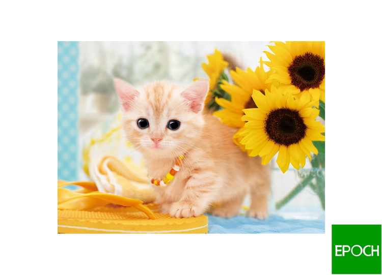 貓之夏美 - 108塊(標準)